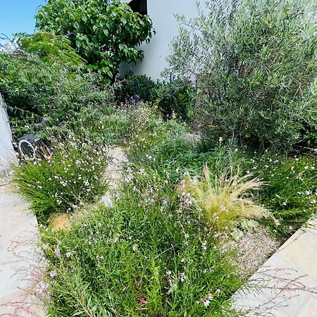 House In With Swimming Pool, Bratislava فيلة بيزينوك